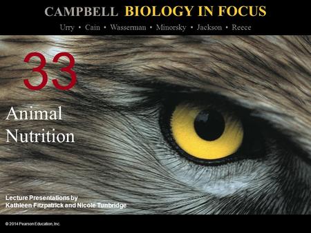 33 Animal Nutrition.