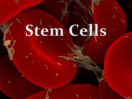 What are stem cells? Stem cells are cells found in most multi-cellular organisms. They are cells that have the ability to grow and become many different.