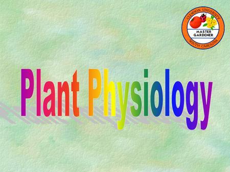 Photosynthesis requires light requires chlorophyll requires CO 2 needs water produces sugars (energy) oxygen is released 6CO 2 + 6H 2 O C 6 H 12 0 6.