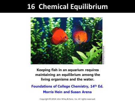 Foundations of College Chemistry, 14 th Ed. Morris Hein and Susan Arena Keeping fish in an aquarium requires maintaining an equilibrium among the living.