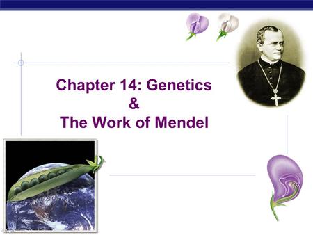 Chapter 14: Genetics & The Work of Mendel