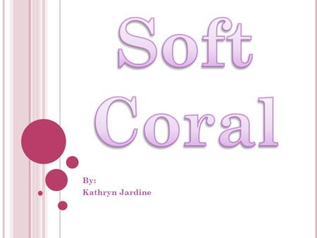 By: Kathryn Jardine. W HERE IS SOFT CORAL FOUND ?