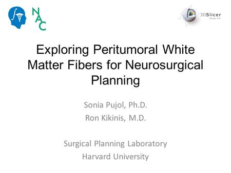 Exploring Peritumoral White Matter Fibers for Neurosurgical Planning Sonia Pujol, Ph.D. Ron Kikinis, M.D. Surgical Planning Laboratory Harvard University.