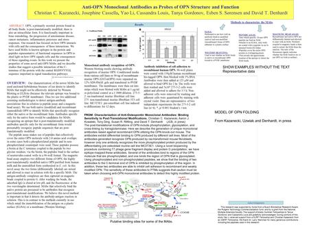 Anti-OPN Monoclonal Antibodies as Probes of OPN Structure and Function Christian C. Kazanecki, Josephine Cassella, Yao Li, Cassandra Louis, Tanya Gordonov,