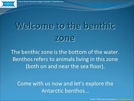 The benthic zone is the bottom of the water. Benthos refers to animals living in this zone (both on and near the sea floor). Come with us now and let’s.