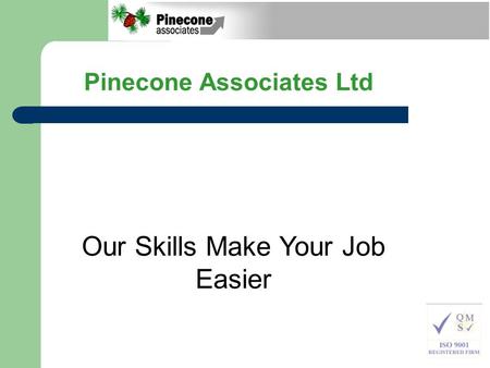 Pinecone Associates Ltd Our Skills Make Your Job Easier.