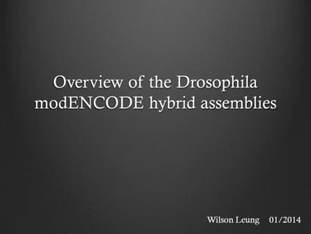 Overview of the Drosophila modENCODE hybrid assemblies Wilson Leung01/2014.