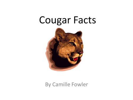 Cougar Facts By Camille Fowler. Cubs Did you know that a baby cougar is a cub? They weigh about a pound when they are born. They are born with their eyes.