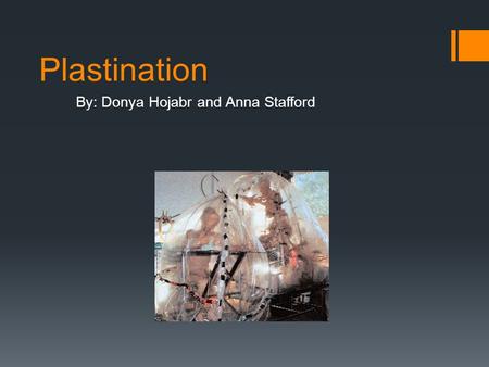 Plastination By: Donya Hojabr and Anna Stafford. Why We Chose This Topic We chose this topic because we are both interested in how general objects are.