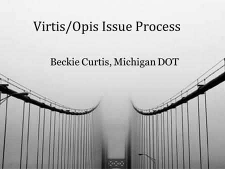 Beckie Curtis, Michigan DOT Virtis/Opis Issue Process.