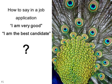 How to say in a job application “I am very good” “I am the best candidate” ? #1#1.