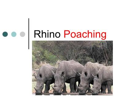 Rhino Poaching. 333 rhino were killed last year. This figure will DOUBLE this year.