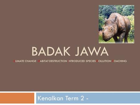 BADAK JAWA CLIMATE CHANGE HABITAT DESTRUCTION INTRODUCED SPECIES POLLUTION POACHING Kenalkan Term 2 -