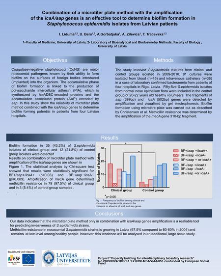 Combination of a microtiter plate method with the amplification of the icaA/aap genes is an effective tool to determine biofilm formation in Staphylococcus.