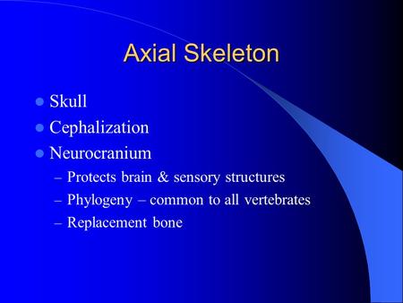 Axial Skeleton Skull Cephalization Neurocranium