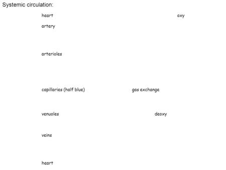 Heartoxy artery arterioles capillaries (half blue)gas exchange venuolesdeoxy veins heart Systemic circulation: