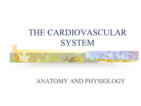 THE CARDIOVASCULAR SYSTEM ANATOMY AND PHYSIOLOGY.