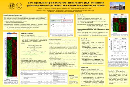 Gene signatures of pulmonary renal cell carcinoma (RCC) metastases predict metastases-free interval and number of metastases per patient Conclusion & Perspectives.