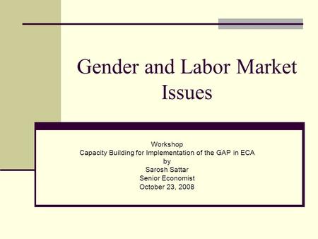 Gender and Labor Market Issues Workshop Capacity Building for Implementation of the GAP in ECA by Sarosh Sattar Senior Economist October 23, 2008.