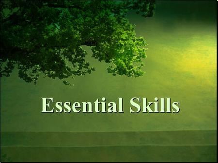 Essential Skills. 11/30/2015 Objectives Review Requirements and Implementation Timeline Understand Assessment Options Describe Resources Available Objectives.