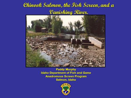 Chinook Salmon, the Fish Screen, and a Vanishing River. Paddy Murphy Idaho Department of Fish and Game Anadromous Screen Program Salmon, Idaho.