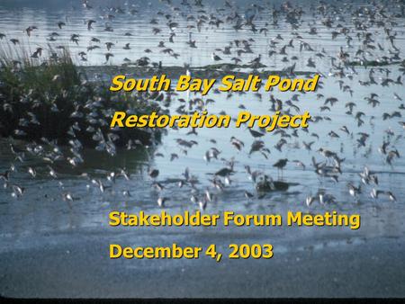 1 South Bay Salt Pond Restoration Project Stakeholder Forum Meeting December 4, 2003.