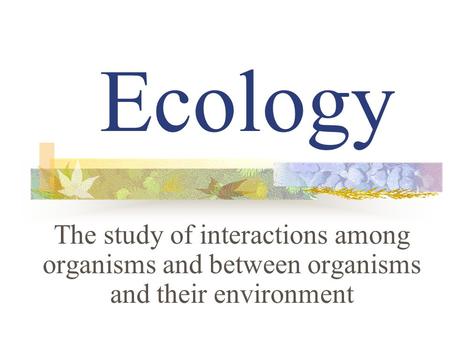 Ecology The study of interactions among organisms and between organisms and their environment.