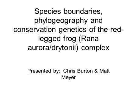 Species boundaries, phylogeography and conservation genetics of the red- legged frog (Rana aurora/drytonii) complex Presented by: Chris Burton & Matt Meyer.