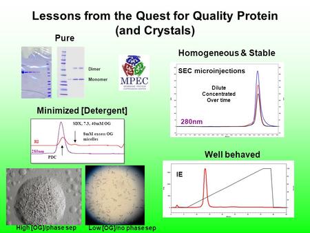 Lessons from the Quest for Quality Protein (and Crystals) Pure Homogeneous & Stable Monomer Dimer 8mM excess OG micelles PDC 280nm SDX, 7.3, 40mM OG RI.