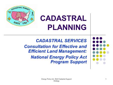 Energy Policy Act - BLM Cadastral Support Strategy 1 CADASTRAL PLANNING CADASTRAL SERVICES Consultation for Effective and Efficient Land Management: National.