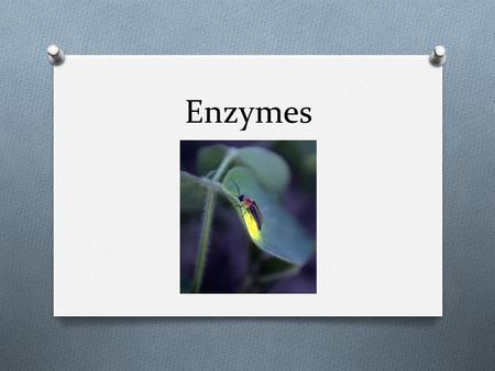 Enzymes. SC.912.L.18.11 O Explain the role of enzymes as catalysts that lower the activation energy of biochemical reactions.