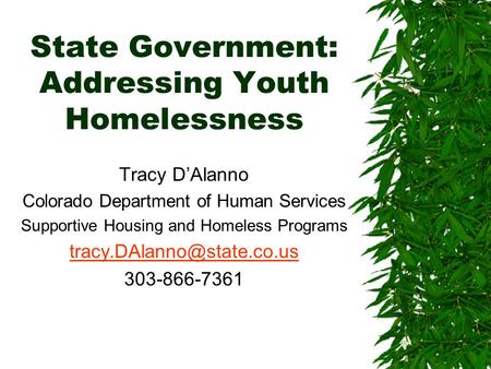 State Government: Addressing Youth Homelessness Tracy D’Alanno Colorado Department of Human Services Supportive Housing and Homeless Programs