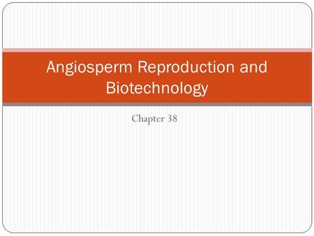 Chapter 38 Angiosperm Reproduction and Biotechnology.