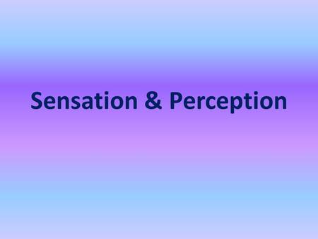 Sensation & Perception