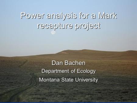 Power analysis for a Mark recapture project Dan Bachen Department of Ecology Montana State University.