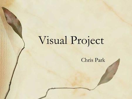 Visual Project Chris Park. The Great Depression was a severe worldwide economic depression in the decade preceding World War II. ( The timing of the Great.