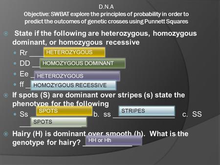 D.N.A Objective: SWBAT explore the principles of probability in order to predict the outcomes of genetic crosses using Punnett Squares  State if the following.