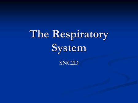 The Respiratory System