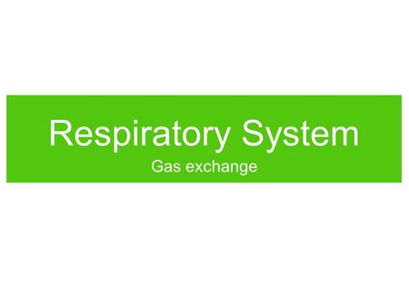 Respiratory System Gas exchange.