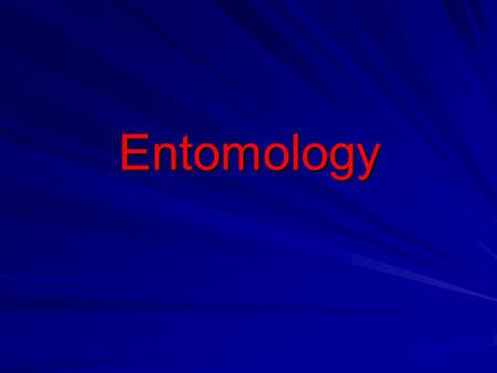 Entomology. Mosquitoes Have worldwide distribution Have worldwide distribution Morphology: 4-10 mm in size. Head: carries a pair of eye, a pair of long.