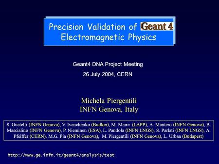 Precision Validation of Geant4 Electromagnetic Physics Geant4 DNA Project Meeting 26 July 2004, CERN  Michela.