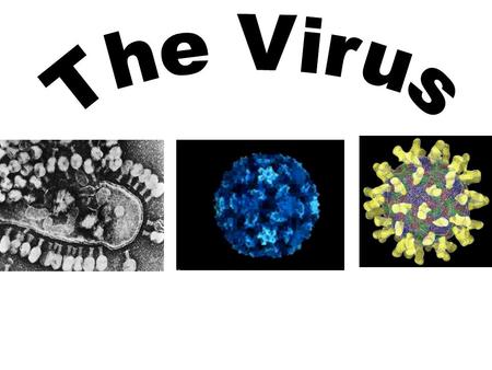 The Virus.