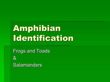 Amphibian Identification Frogs and Toads &Salamanders.