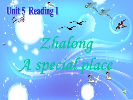 Zhalong A special place Let ’ s have a competition and see who can name the birds first. 1. brownish feathers broad wings hooked beak ___________________.