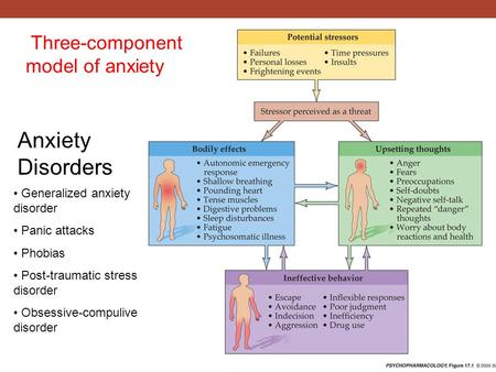 Three-component model of anxiety Anxiety Disorders Generalized anxiety disorder Panic attacks Phobias Post-traumatic stress disorder Obsessive-compulive.