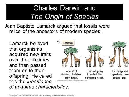 Copyright © 2007 Pearson Education, Inc., publishing as Pearson Addison-Wesley Charles Darwin and The Origin of Species Jean Baptiste Lamarck argued that.