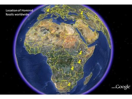 Location of Hominid fossils worldwide. THE AREAS OF THE WORLD HOMINIDS AND OTHER ANIMALS ARE FOUND IN TODAY MAY SOMETIMES BE VASTLY DIFFERENT THAN IN.