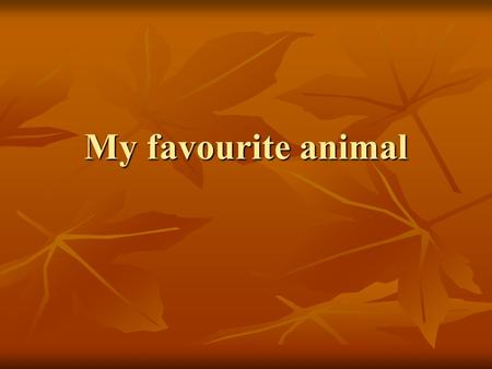 My favourite animal.