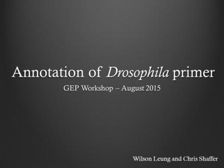 Annotation of Drosophila primer