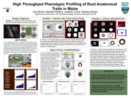 High Throughput Phenotypic Profiling of Root Anatomical Traits in Maize Amy Burton, Michael Williams, Jonathan Lynch, Kathleen Brown Department of Horticulture,